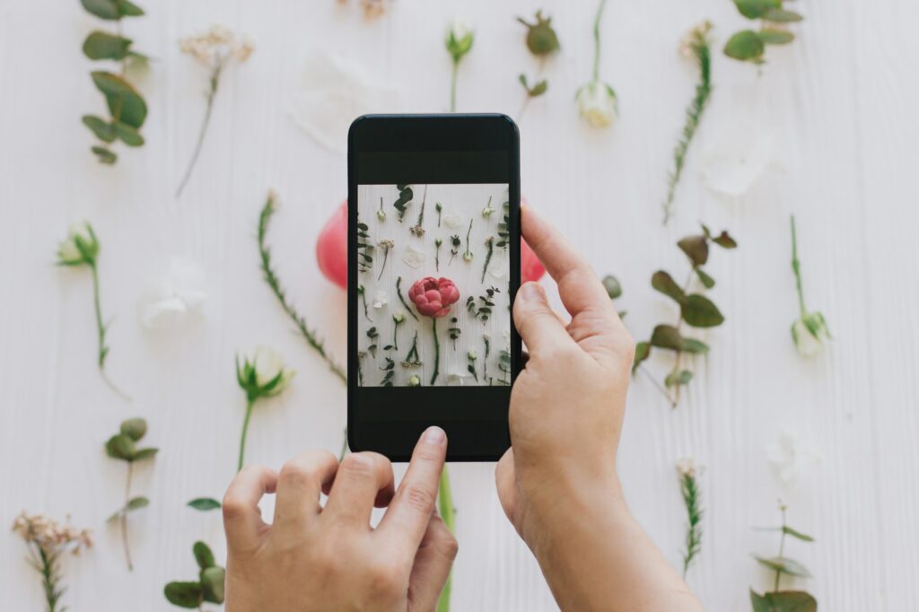 Blogging and making social media content. Hands holding phone and taking photo of flowers flat lay