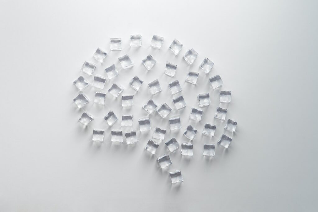 Creative concept of the frozen brain.