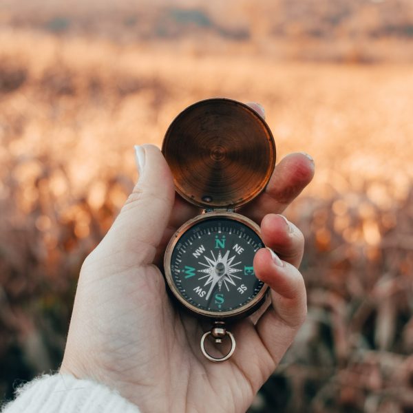 mariah-hewines-TQ3JV9ECgLM-unsplash