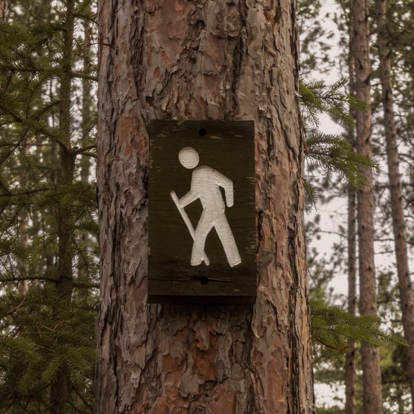 walking stick